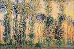 Monet: Populieren bij Giverny